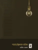 প্যারাডক্সিক্যাল সাজিদ ২